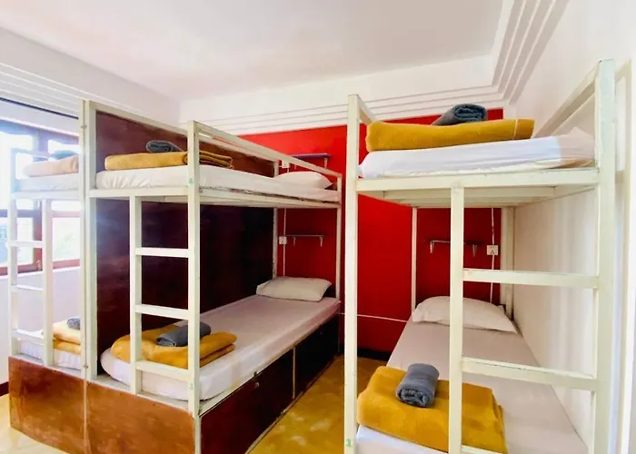 Vplus 4*